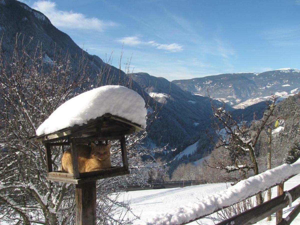 Ritschhof Guest House Laion Exterior photo